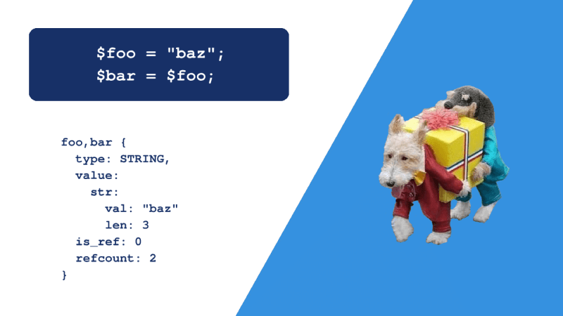 2 variables refers to the same memory place