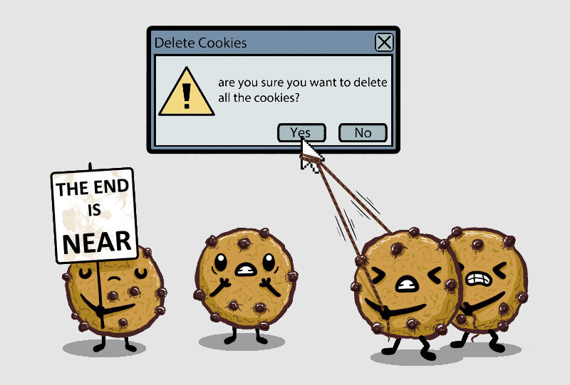 Deleting cookies from the browser